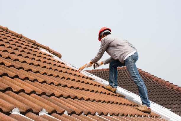 Haslett, MI  Roofing repair and installation Company