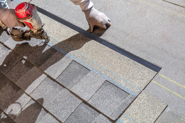 Best Roof Moss and Algae Removal  in Haslett, MI